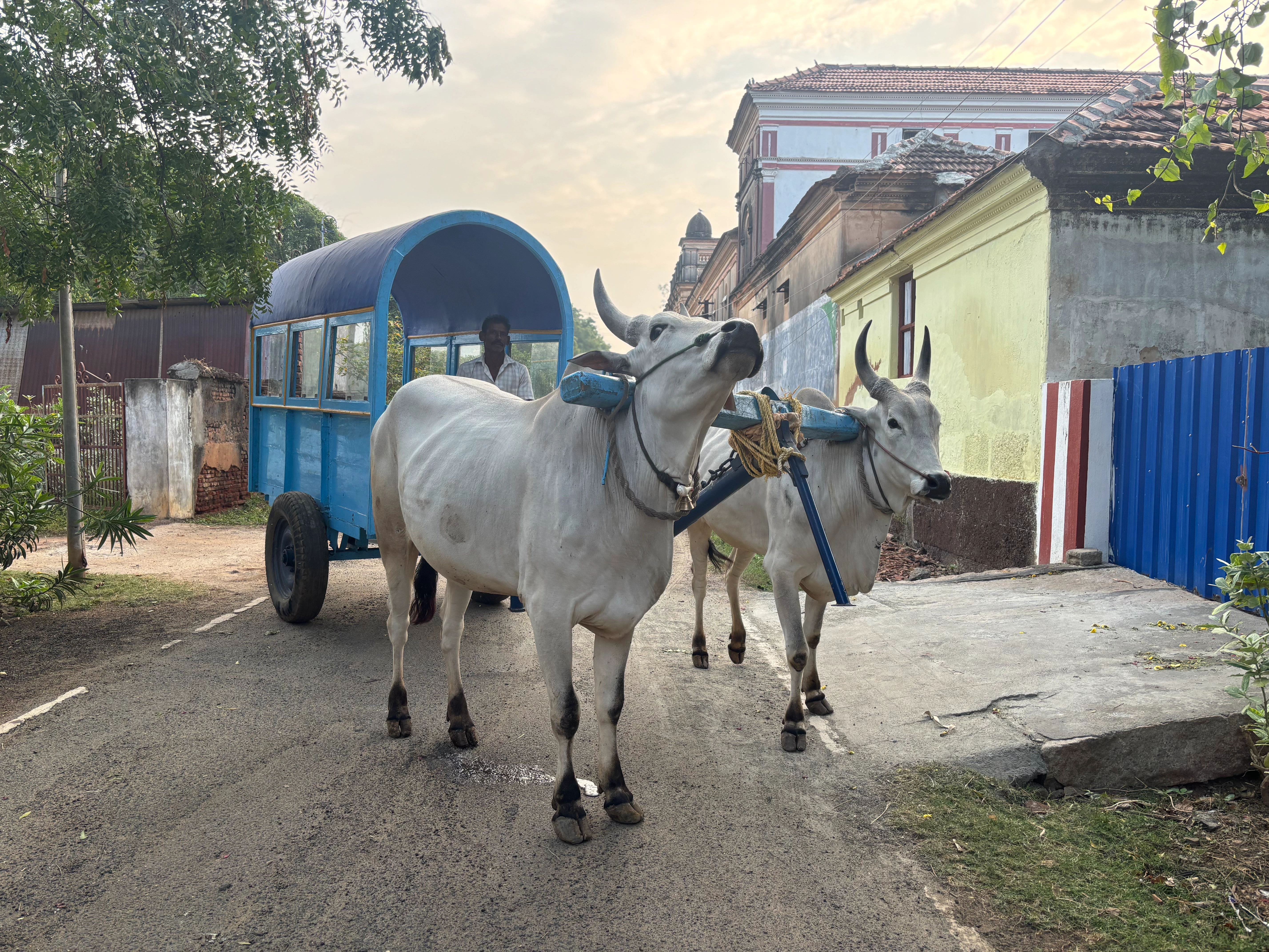 Traditional South Indian Village Life